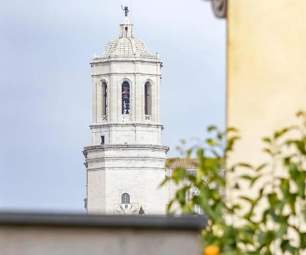 Bravissimo La Mora, Beautiful And Spacious 公寓